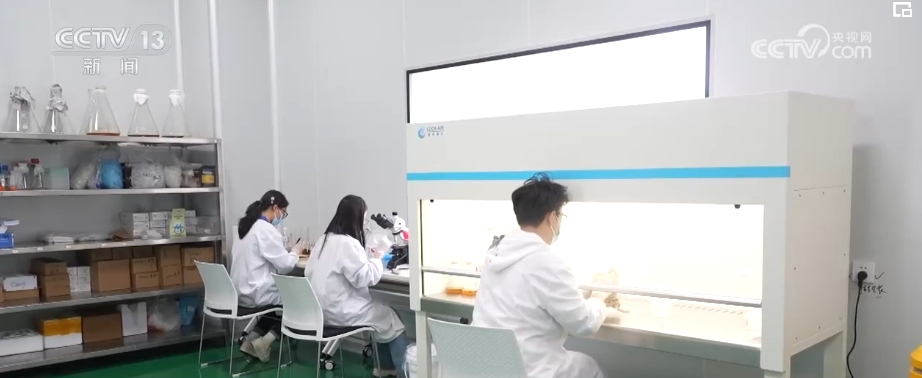 走出实验室的“新质生产力” 开辟未来食品“新赛道”